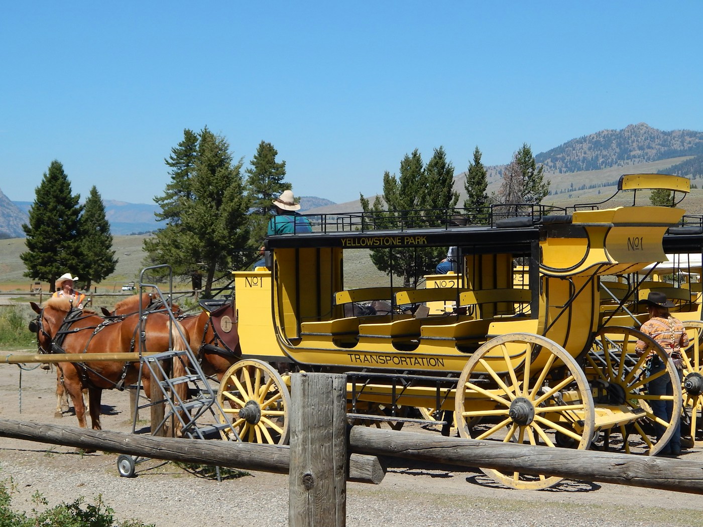 Horse drawn carriages and wagons