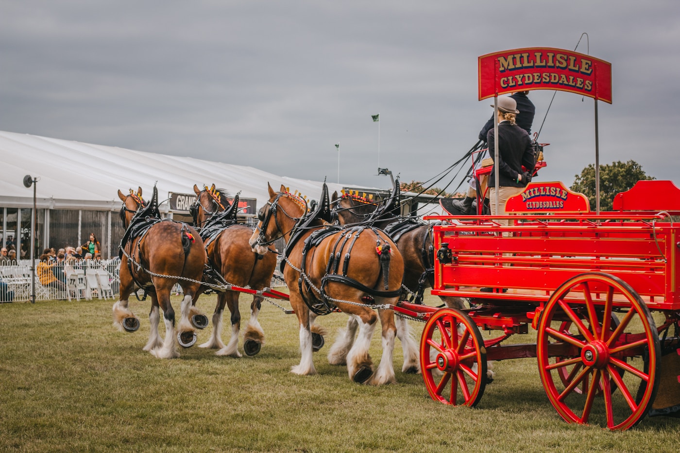 Horse drawn equipment for sale
