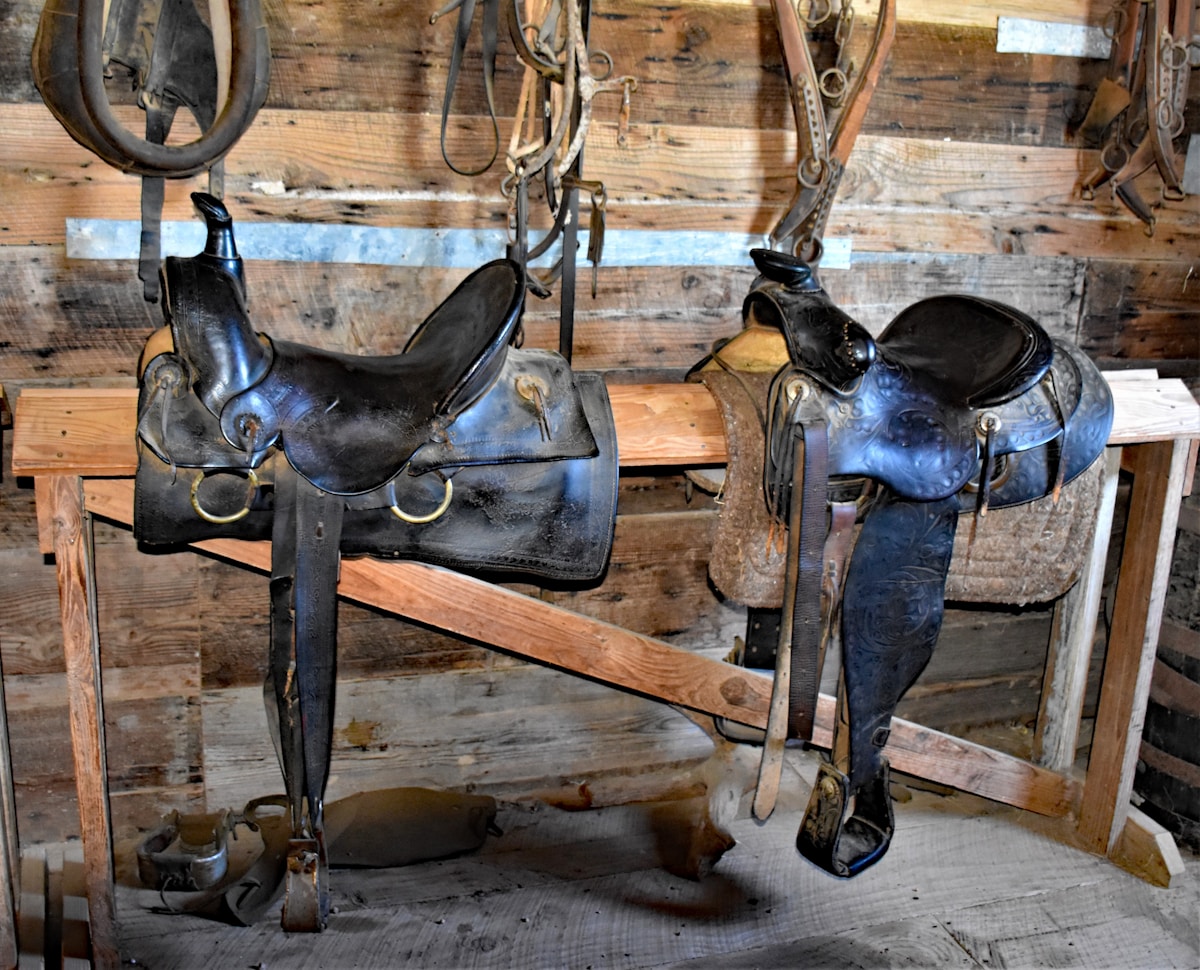Good Shepherd Ranch